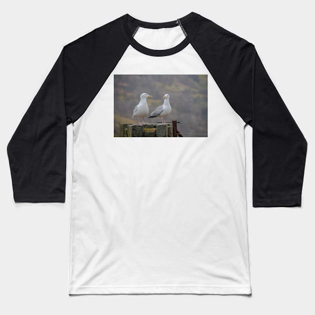 Two Seagulls sitting on a fence Baseball T-Shirt by Russell102